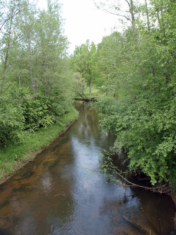 File:Tartumaa_Elva jõgi.jpg